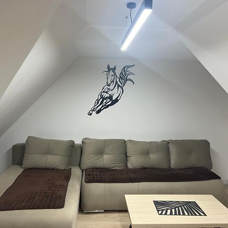 Family Apartmans Harry- Apartmans Of The Apart Hotel & Spa Zoned, Kopaonik - Special Benefit, Children Up To 13 Years Of Age Accompanied By Two Adults Stay For Free-Parking-Breakfast-Pool&Spa Exterior photo